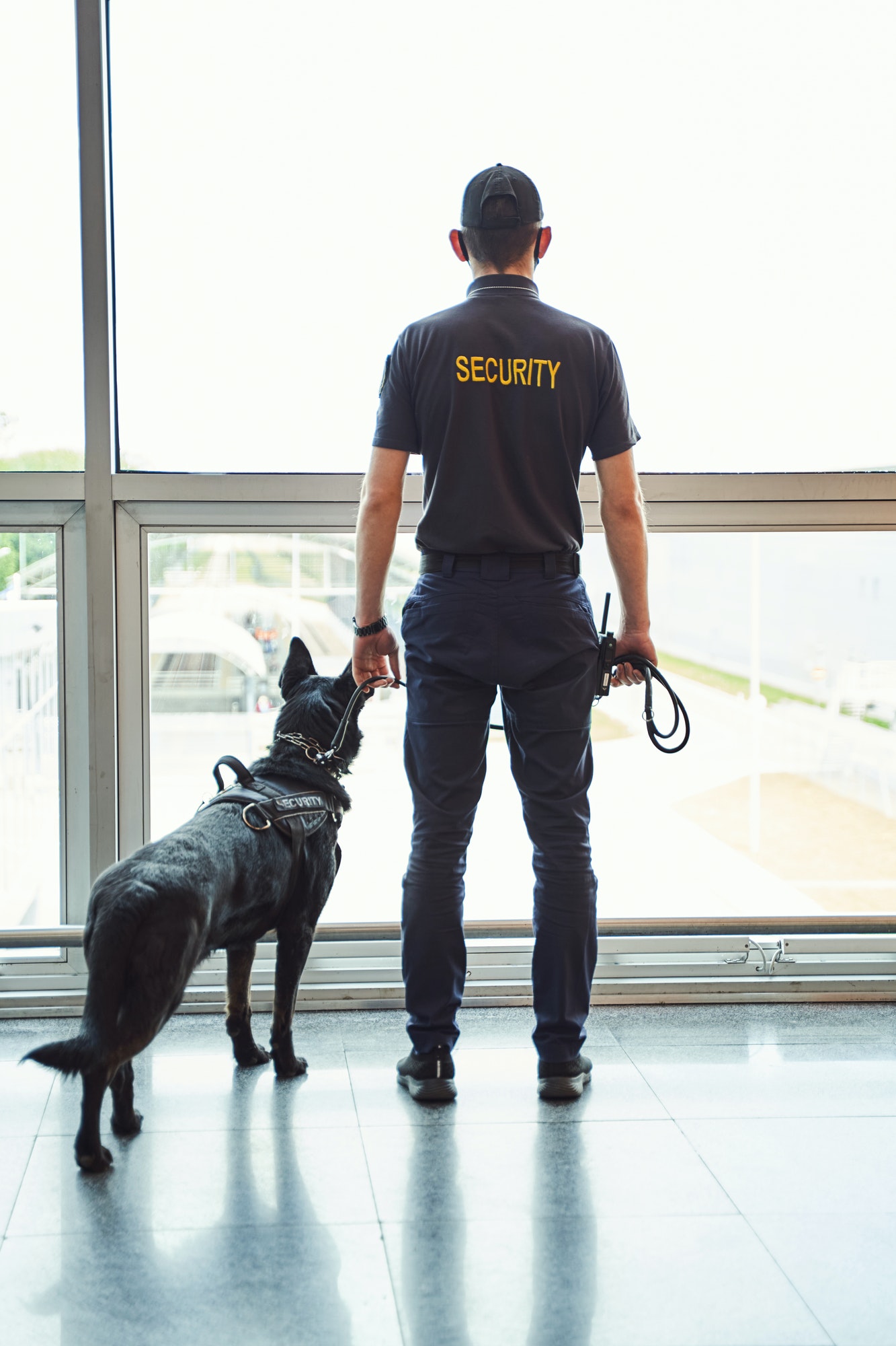 security worker with detection dog standing at airport terminal